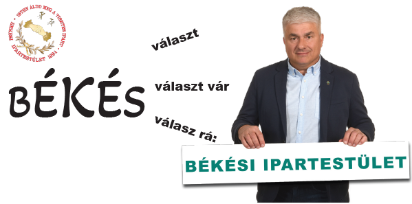 Kép: Ipartestületi kiadvány a választásokra 2. szám